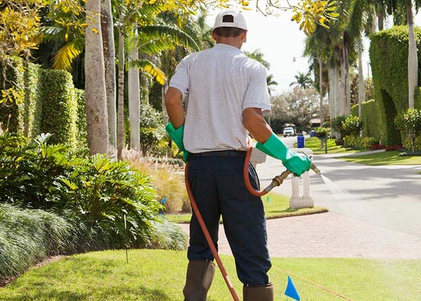 About Ida Grove IA Pest Control